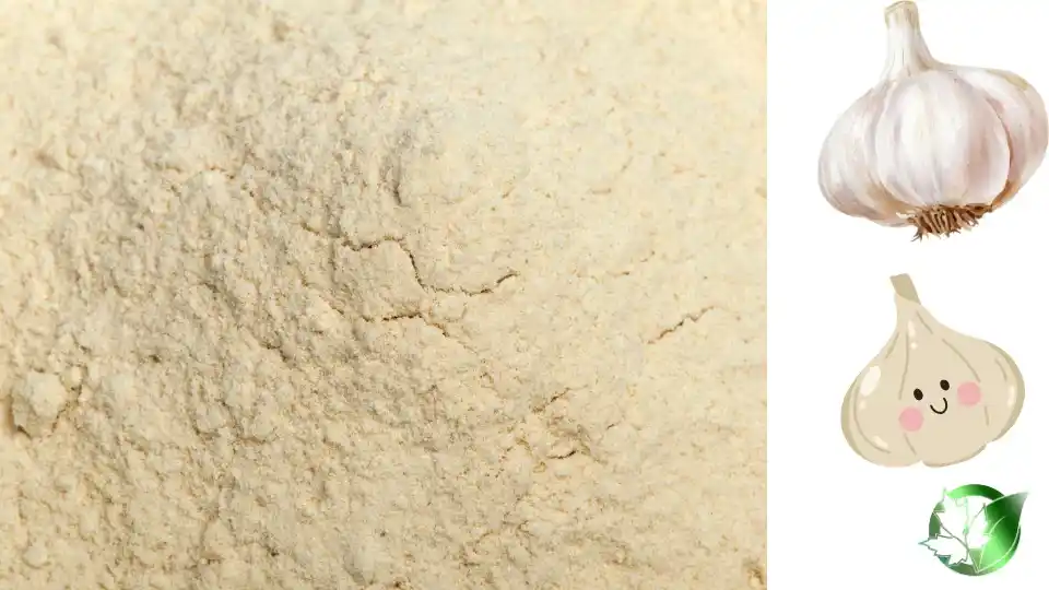 Supplier evaluation for Garlic Powder should cover specification, packaging, document package, logistics, and full delivered cost.